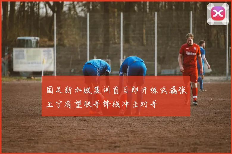 国足新加坡集训首日即开练武磊张玉宁有望联手锋线冲击对手